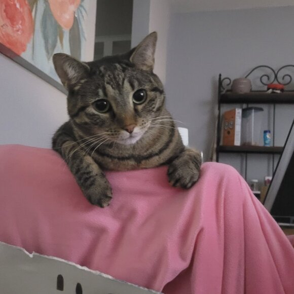 Meet your Posher, Alicia - Picture 5 of 5